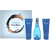 SET DAVIDOFF COOL WATER FOR HER 3P 100 MLSP